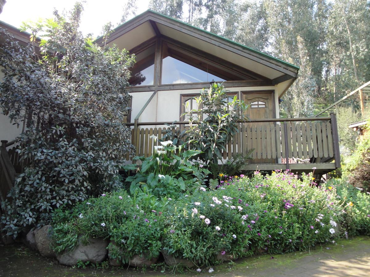 Selvanegra - Olmue Hotel